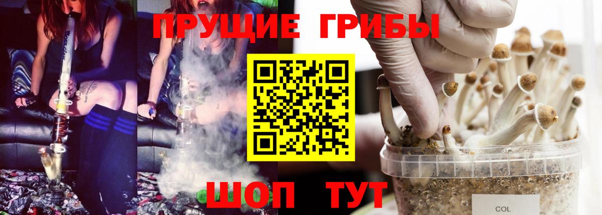 Псилоцибиновые грибы мицелий Артём